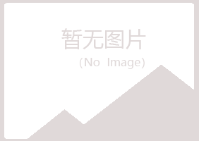 河源源城夜山化学有限公司